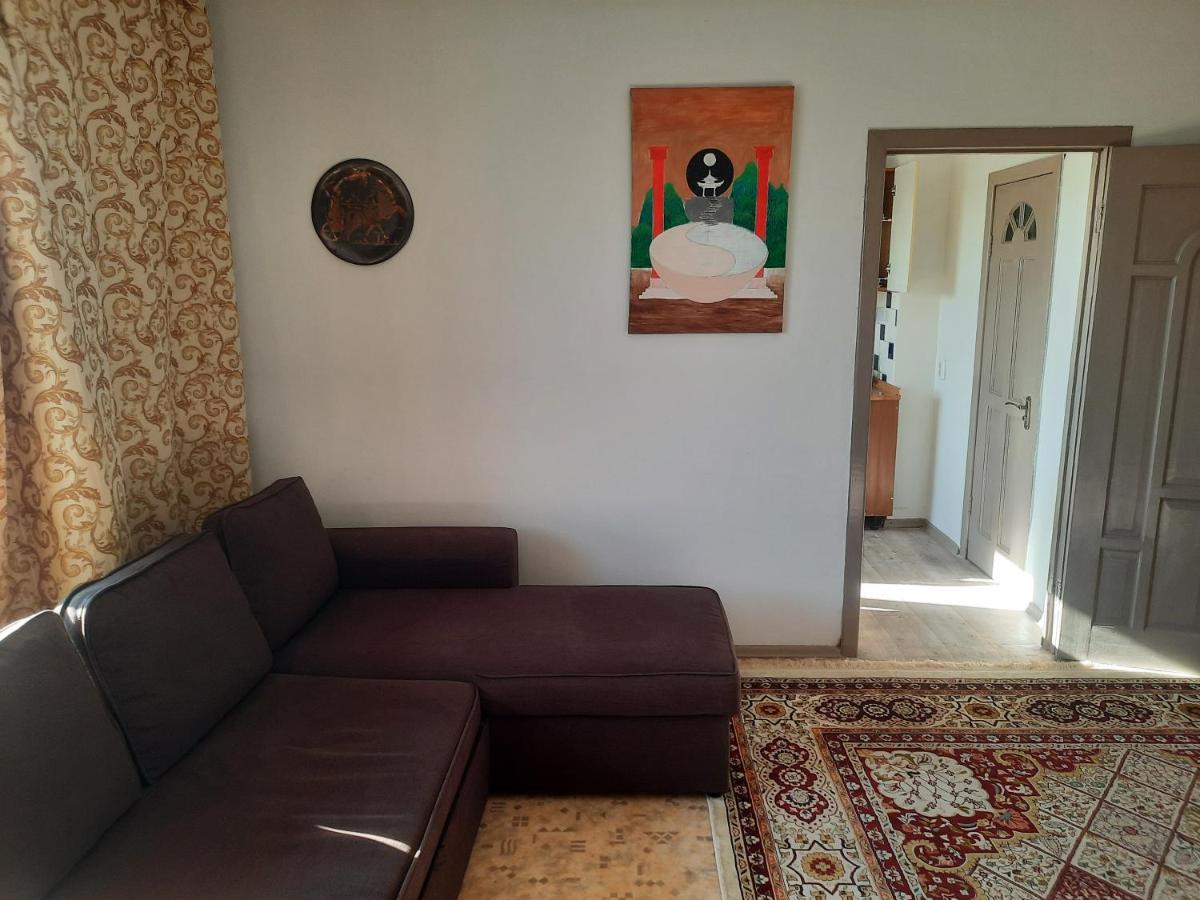 Shevchenko Panfilova Apartment *