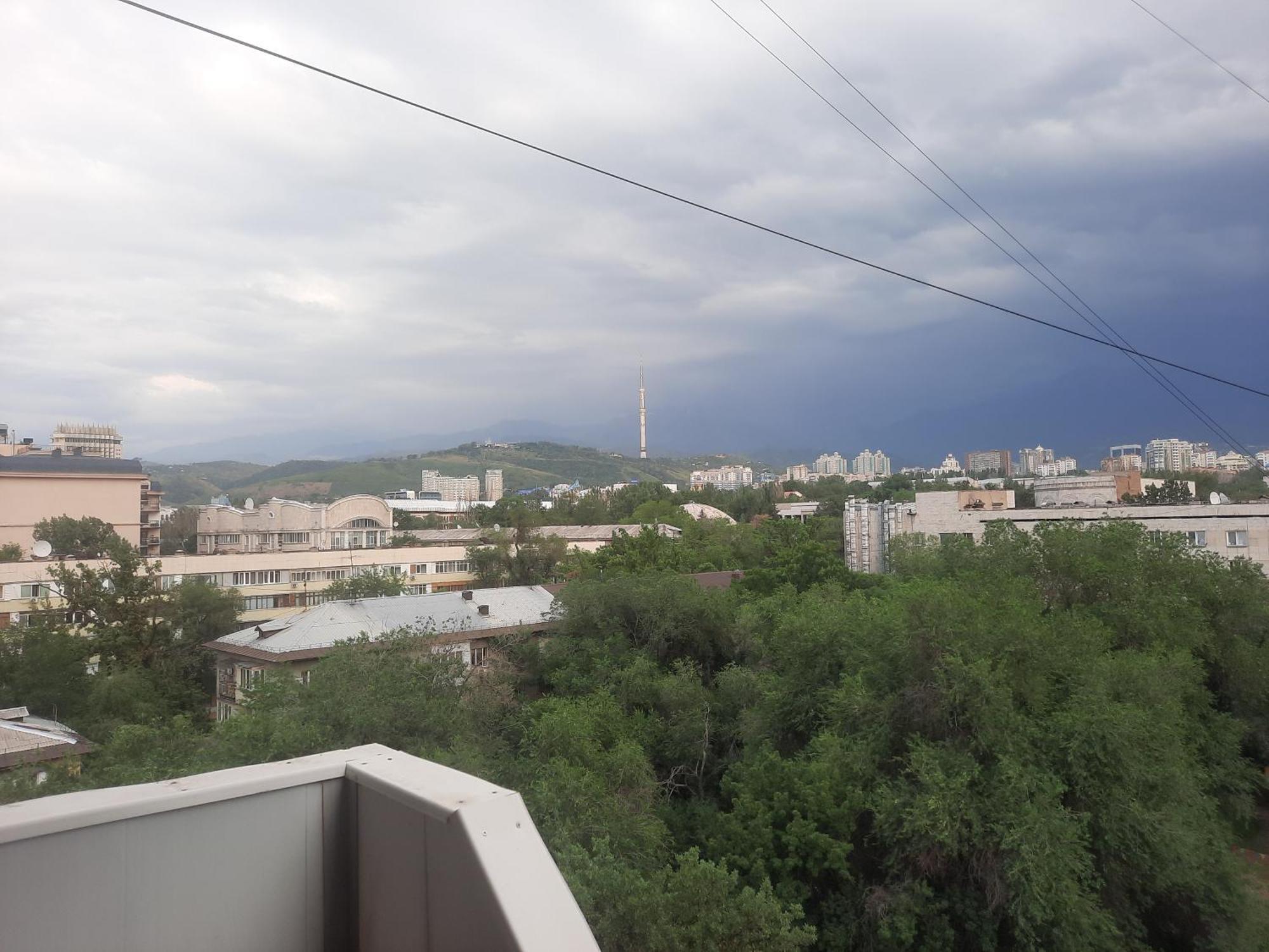 Shevchenko Panfilova * Almaty